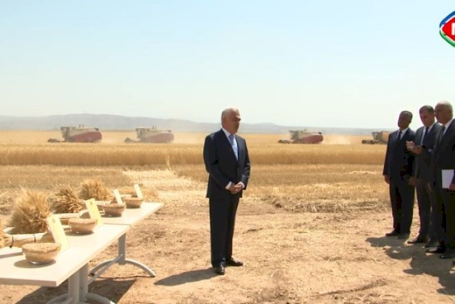    Vasif Talıbov tarlada –   Video