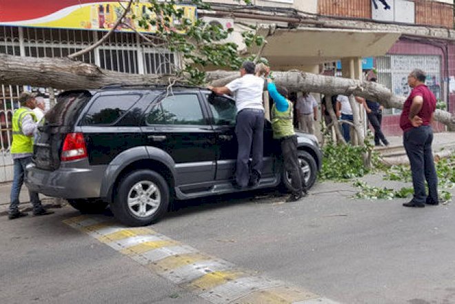    Bakıda ağac avtomobilin üstünə aşdı    