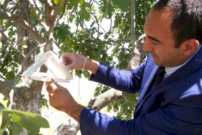    Zərərli orqanizmlərlə mübarizə tədbirləri davam etdirilir   