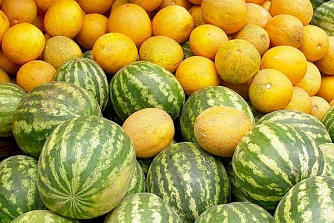    Öldürən ləzzət: Mövsümündə olmayan qarpız-yemişin satışına niyə icazə verilir?   