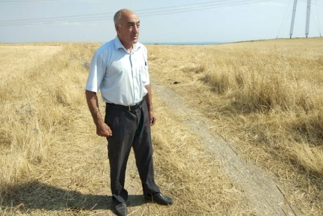    İcra başçısı 20 hektar torpağı əlimdən alıb –   Şikayət