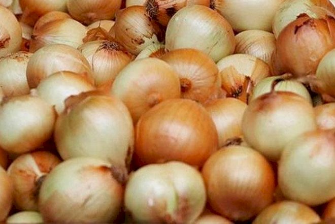    Azərbaycanda soğan kəskin ucuzlaşacaq -   Səbəb