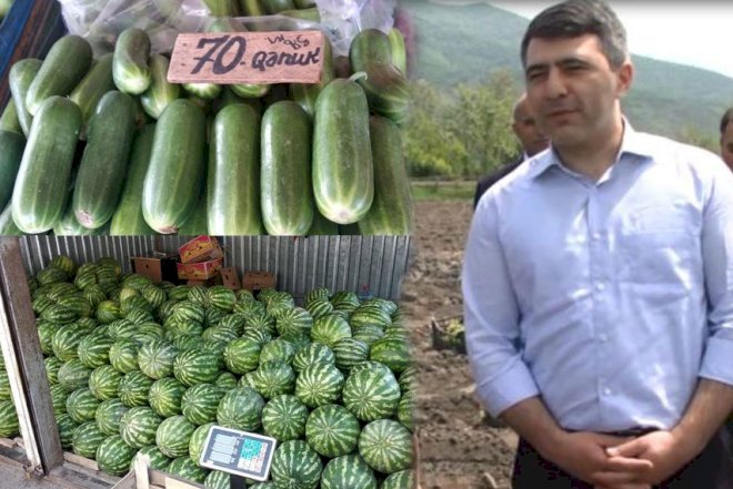    Kənd təsərrüfatının böyük “inkişafı” –   Qiymətlər ceyran belində