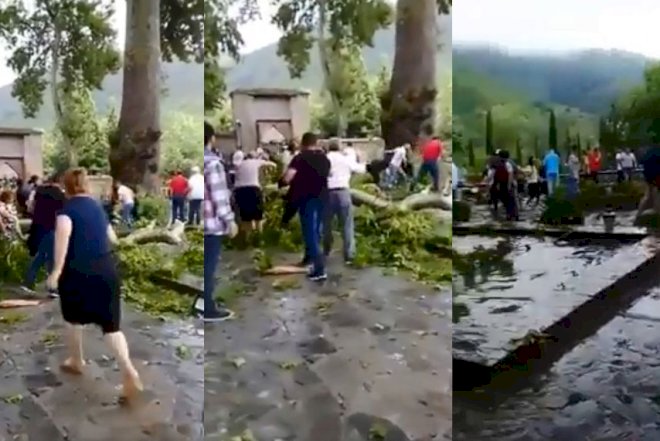    Şəkidə ağacın insanların üzərinə aşma anı –   Video