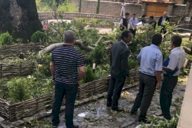    Şəkidə başına ağac düşən qadın vəfat etdi   