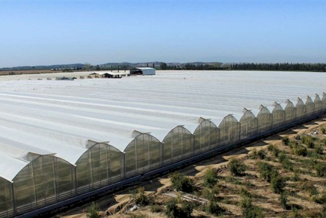    İcra başçısının parnikinin 70 min qaz pulu borcu var   
