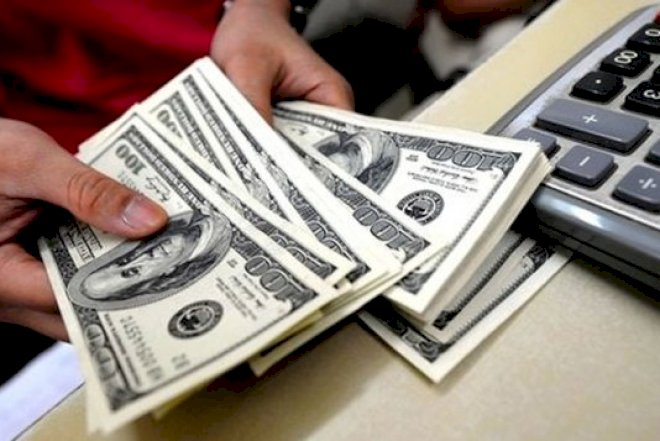    Dollar kreditləri ilə bağlı daha bir problem –   Palata yalan məlumat verib