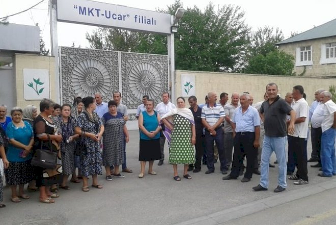    Ucar səhmdarlarından kütləvi etiraz –   Prezidentə müraciət edildi