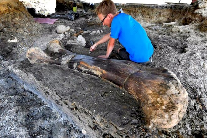    Arxeoloqlar 2 metr uzunluğunda sümük tapdı - Fotolar   