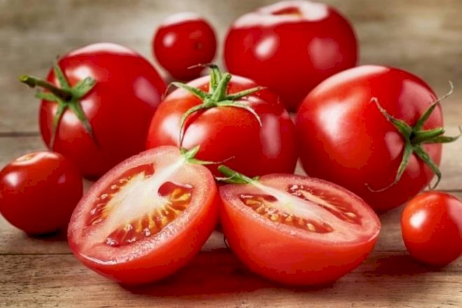    Pomidor ucuzlaşdı   