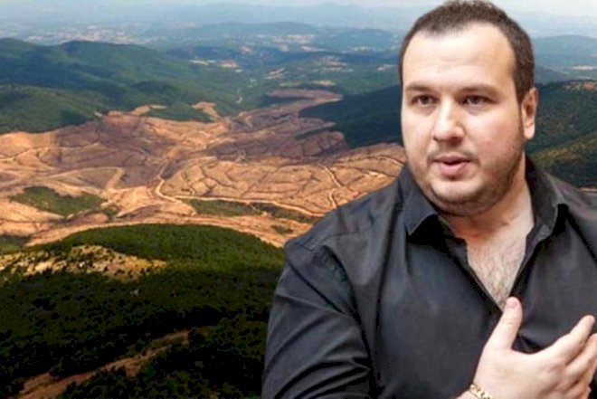    Məşhur aktyordan 13 min ağacın kəsilməsinə etiraz: “Biz axmağıq?“   