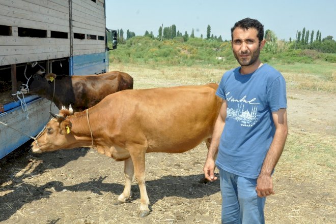    132 ailəyə mal-qara verilib   
