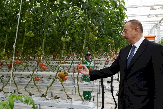    Azərbaycanda bahalaşmaya qarşı mübarizə başlayır   