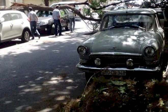   Yol polisindən xəbərdarlıq: Bu ərazilərdə maşın saxlamayın   