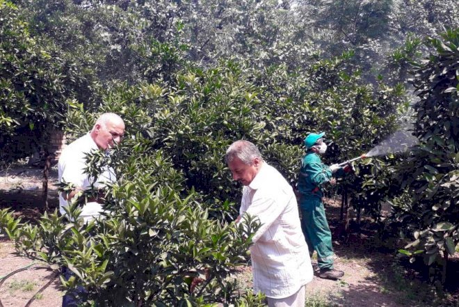    Nazirlik zərərvericilərə qarşı mübarizə aparır   