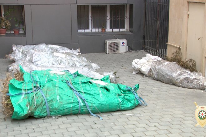    Maştağada 1 ton narkotik vasitə aşkarlandı - Foto   