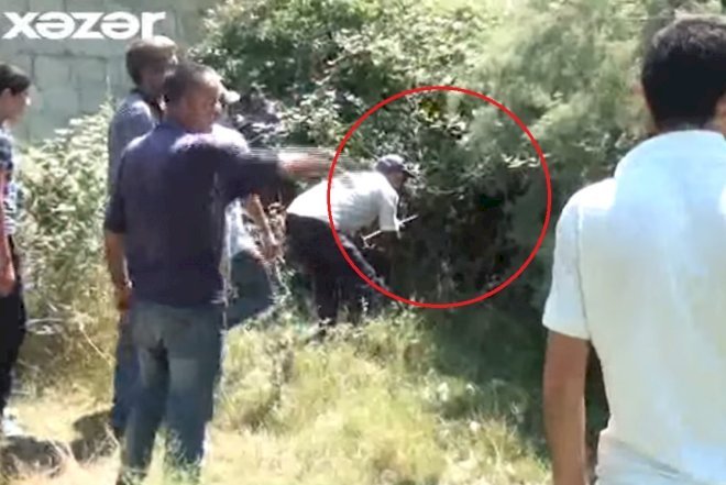    Azərbaycanın bu kəndində əcaib varlıqlar peyda olub - Video   