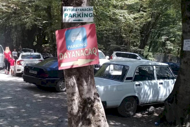    Meşədə pullu dayanacaq –   Foto