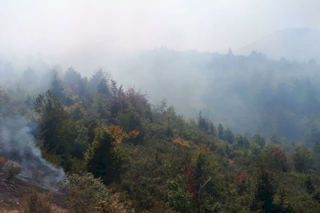    Hirkan Milli Parkında yanğın baş verib   