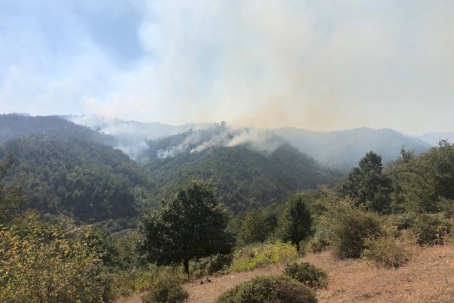    Hirkan Milli Parkındakı yanğın söndürüldü   