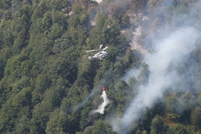    Hirkan Milli Parkındakı yanğın tam söndürüldü   