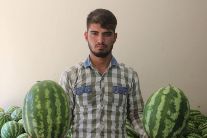    Qarpız üstündə bıçaqlanma - Foto   