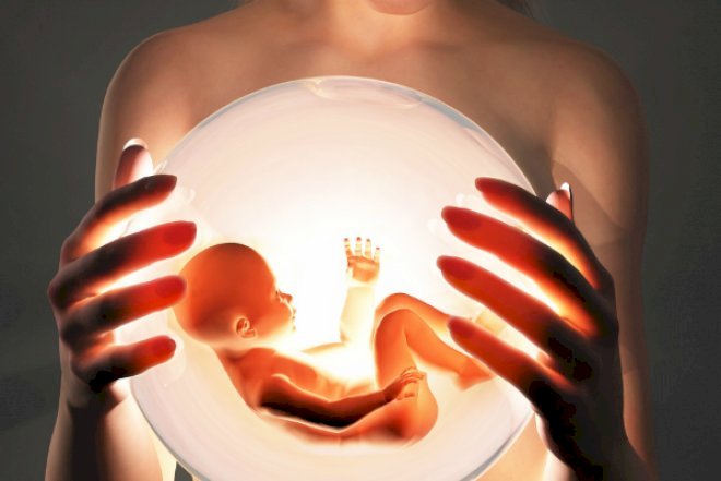    Surroqat ana və sperma bankı ilə bağlı qanun gəlir   - QMİ “hallallıq“ verdi