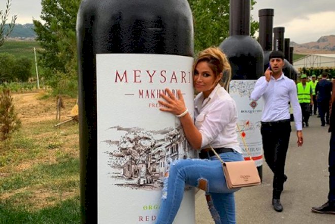    Nigar Camal “Üzüm və Şərab Festivalı“nda - Foto   