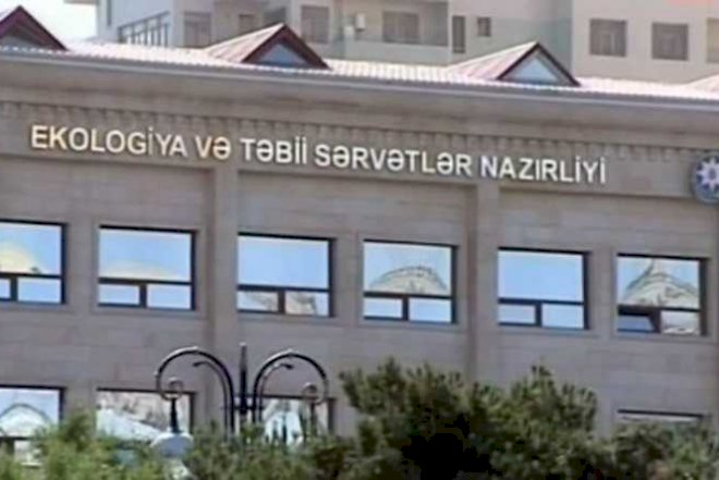    ETSN-dən Qubada ayı hücumu ilə bağlı   - Açıqlama