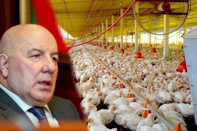    Elman Rüstəmov toyuqlarına görə cərimələndi   