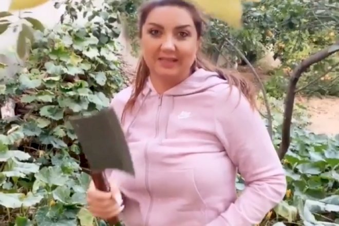   “Hamısını kəsəcəyəm” - Nazilə Səfərli əlinə baltanı aldı və… - Video   