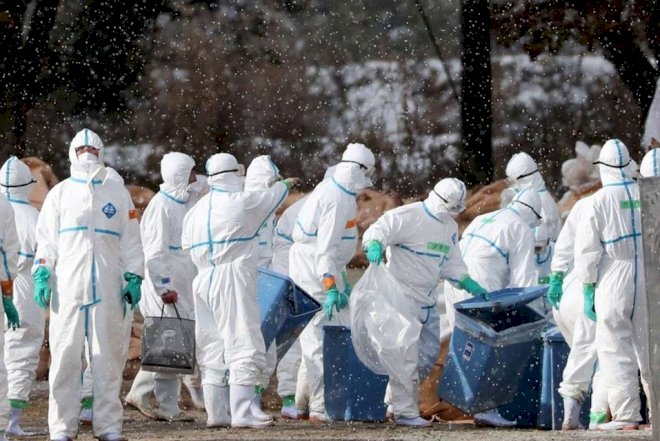    36 saatda 80 milyon insan tələf olacaq - Təhlükəli virus   