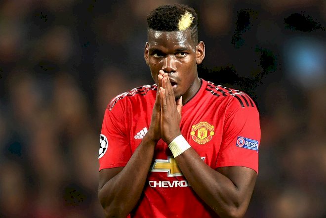    Ulduz futbolçu azarkeşlərdən qorunmaq üçün it aldı - Foto   