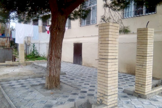    Bakıda ağacı betonlayan şəxs cəzalandırıldı - Foto   