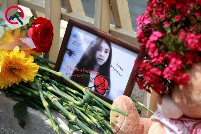    Elina haqda film çəkiləcək   