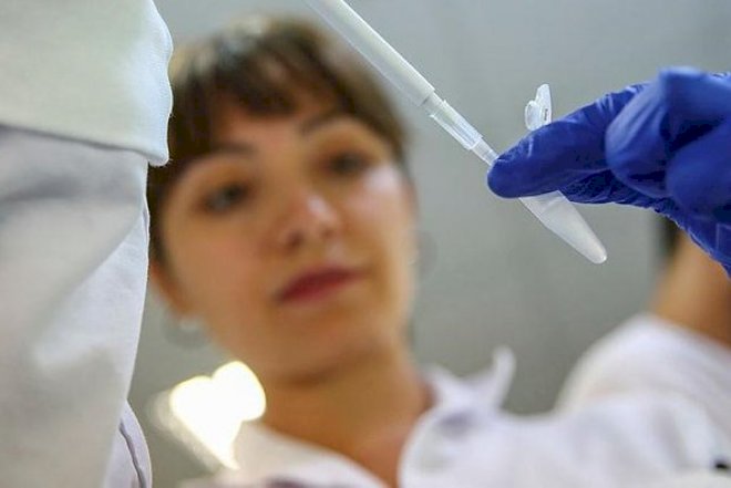    Təlükəli virus yayıldı   
