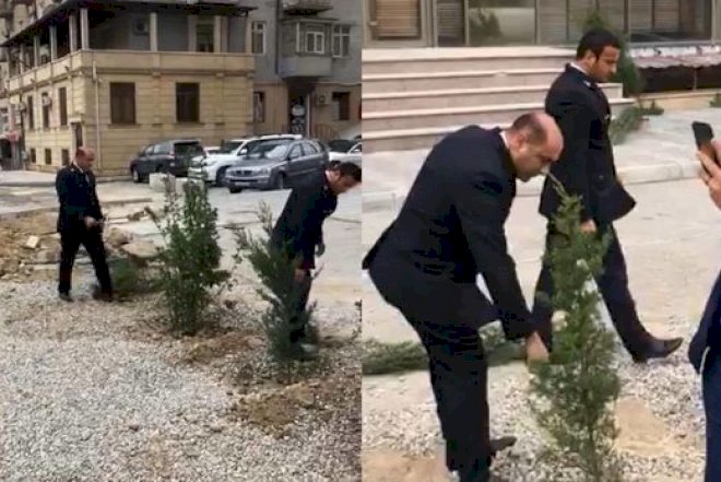    Bakıda ağaclar niyə kökündən çıxarılıb?   - Rəsmi Açıqlama