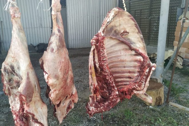    400 kq leş əti aşkarlandı - Foto   