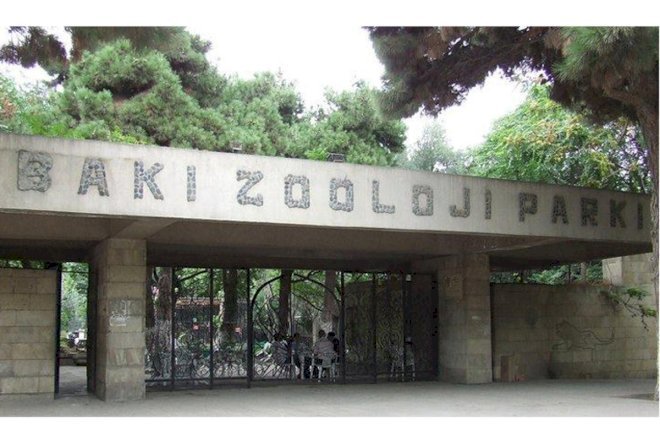    Bakı Zooparkının istifadəyə veriləcəyi təqribi vaxt açıqlandı   