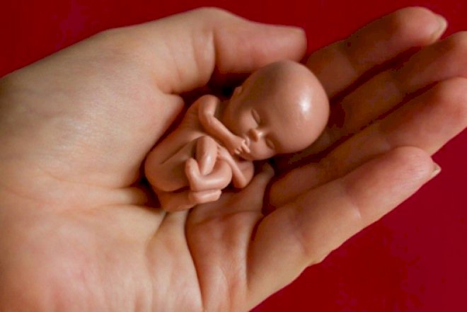    Bu uşaqlar cəmiyyət üçün hansı təhlükələr yaradacaq? -   Surroqat ana və sperm bankı