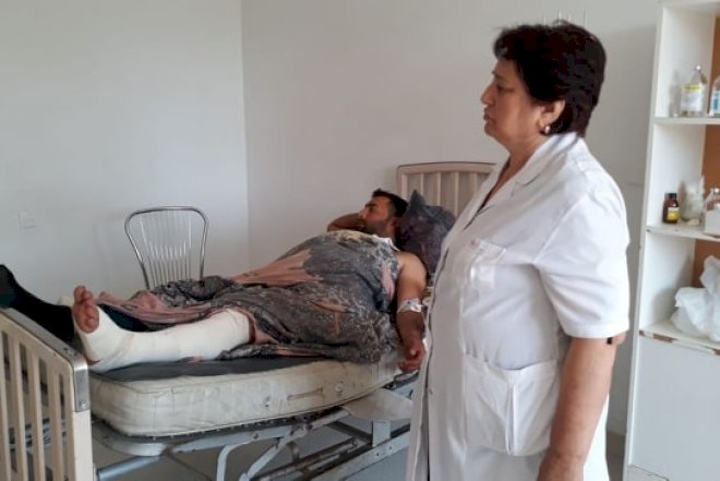    Qonaq getdiyi evdə ilan sancdı - Azərbaycanda   - Foto