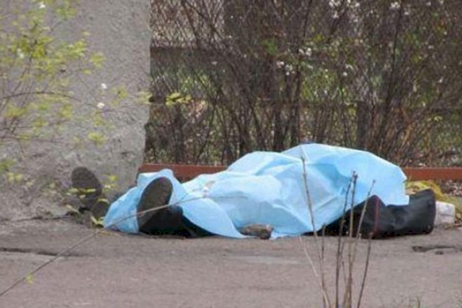    Azərbaycanda 38 yaşlı kişi ağacdan yıxılıb öldü   