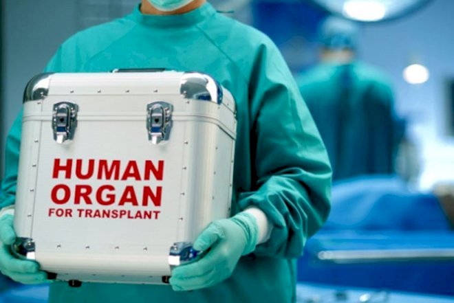    Həkimdən orqan bağışlayanlara sərt reaksiya:   “Heç kimə lazım deyil...”