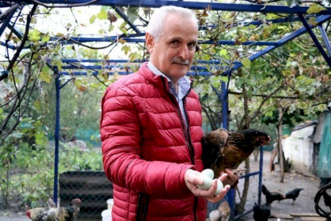    Azərbaycanda biri beş manata olan yumurta satılır - Foto   