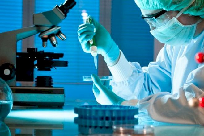    Xərçəng xəstəliyinə tutulanların heyrət doğuran statistikası açıqlandı   - İranda