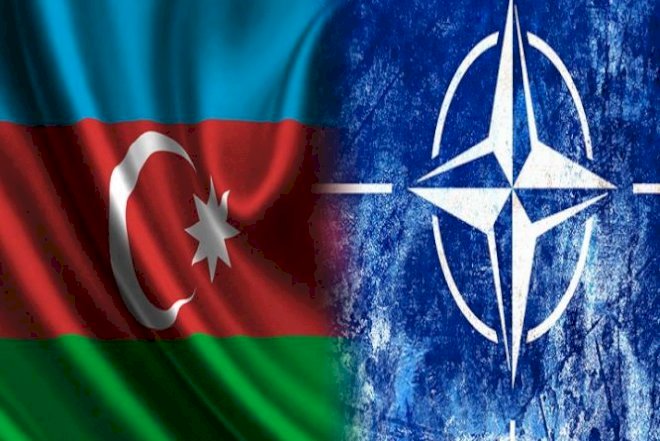    ANAMA rəhbərliyi NATO-nun iclasında iştirak etdi   
