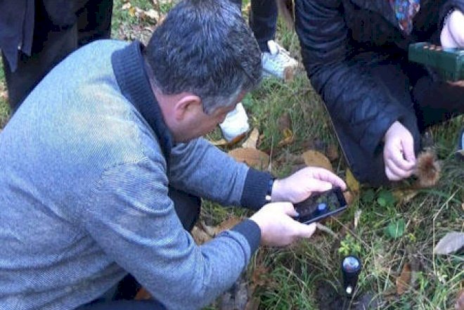    Azərbaycanda 4 nadir bitki növü tapıldı - Foto   