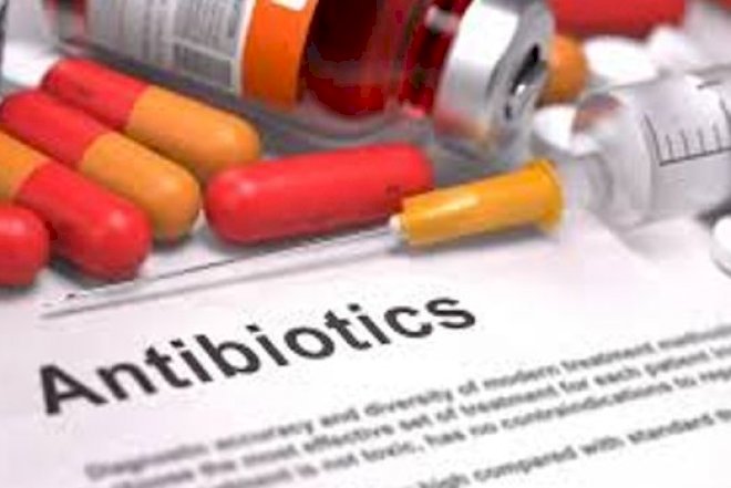    Qida məhsullarında antibiotik təhlükəsi   