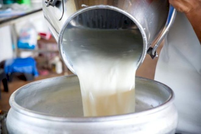    Süd xərçəng yaradırmış   