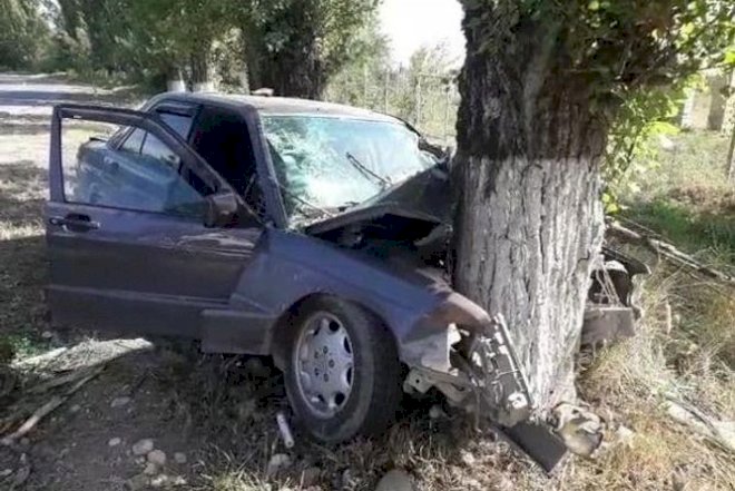    Oğuzda avtomobil ağaca çırpıldı, xəsarət alanlar var   